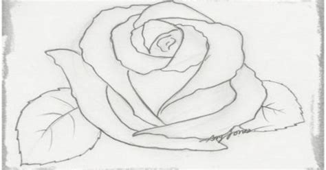 Cómo Dibujar Una Rosa A Carboncillo Paso A Paso