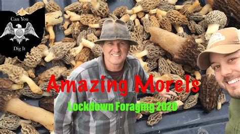 Morel Mushroom Hunting Lockdown Foraging For Ohio Shrooms 2020