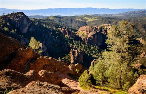 A Guide To Pinnacles National Park