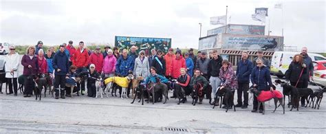 Walney Island Walk — Retired Greyhounds South Lakes