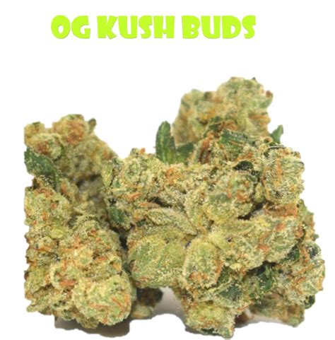 Og Kush Buds Weed Seeds Thailand