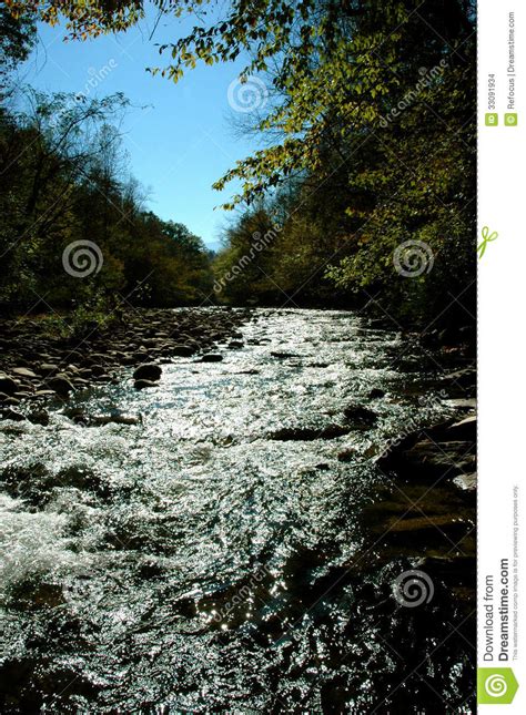 Rivers Trees And Rocks Stock Photo Image Of Leaf Outdoors 33091934