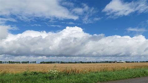 A great domain can be the key to your success. KNMI - Zomer 2017: van extreem warm naar vrij koel