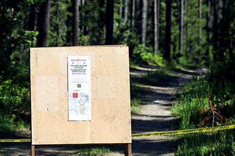 Officials West Glacier Cyclist Collided With Bear Before Fatal Attack
