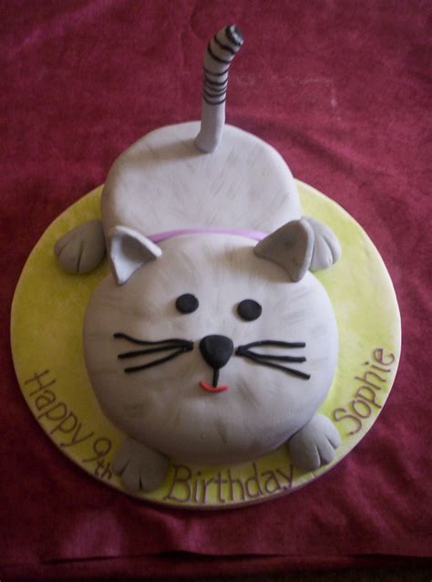 Champagne Birthday Decoration Ideas Cat Cakes Kitty Cake Birthday