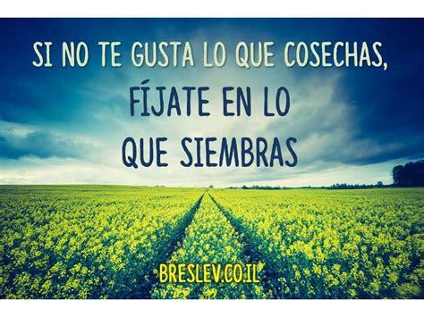 No pidas lo que no das, no exijas lo que no entregas. PORQUÉ ME GUSTA SER MAYOR: SIEMBRA EL BIEN. Si no cosechas ...