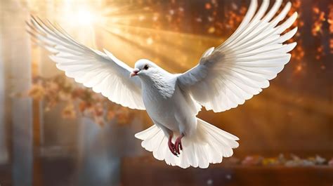 Paloma blanca encima de la biblia del espíritu santo Foto Premium