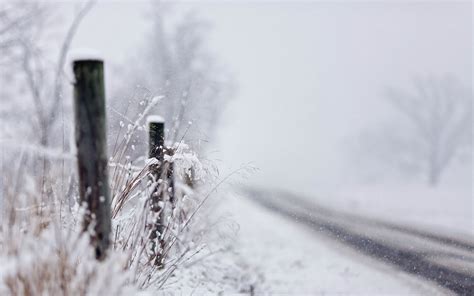 Road Winter Snowfall Nature Wallpaper 1920x1200 31659