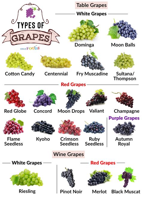 20 Different Types Of Grapes To Eat And Make Wine