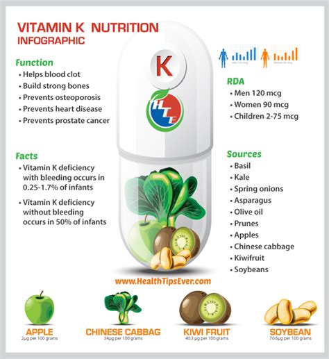 Vitamin K Infographic With Concise Description Health Tips Ever Magazine