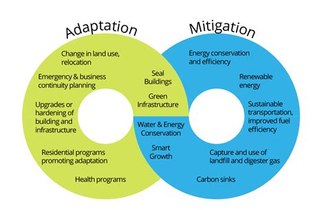 8a Mitigation And Adaptation Strategies