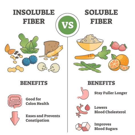Short Note On Dietary Fiber Solution Parmacy