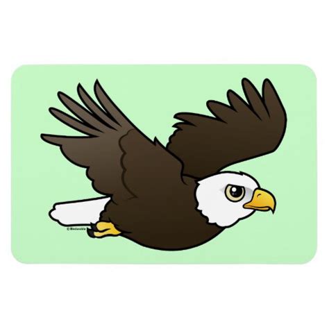 Bald Eagle In Flight Rectangle Magnets Zazzle