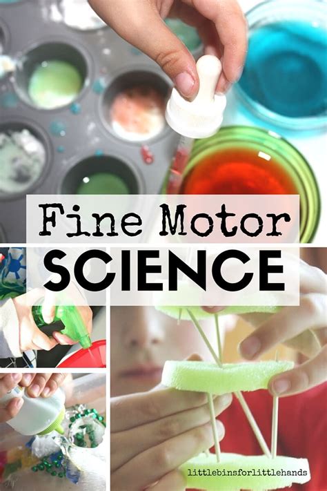 Fine Motor Science Activities For Kids Little Bins For