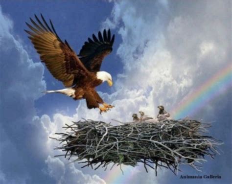 The Eagles Bald Eagles Prophetic Painting Prophetic Art Eagle