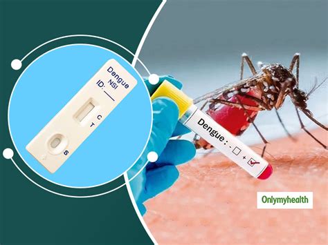 Dengue Fever Rapid Test Kits How Helpful Are These Test Kits In