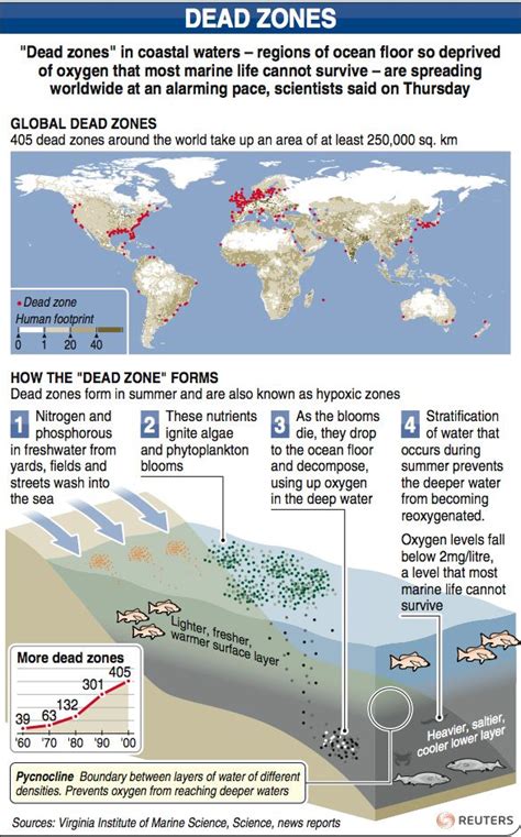 Dead Zones Environmental Pollution Ecology Ocean