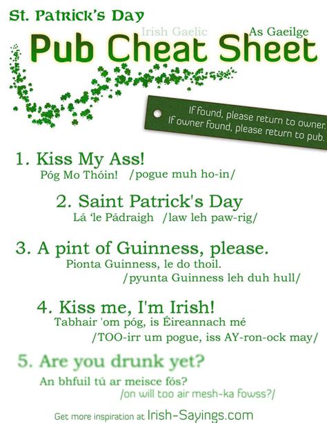 The Best Funny Irish Birthday Wishes Home Inspiration And Ideas DIY Crafts Quotes Party