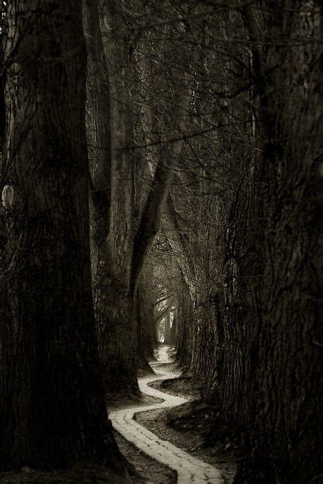 Dark Forest Path Beautiful World Beautiful Places Lovely Forest Path