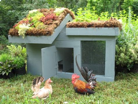 Creative Chicken Coop Designs To Envy For Coops And Cages