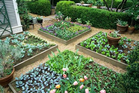 Vegetable Garden Layout Ideas Uk Garden Layout