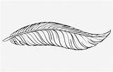 Feather Plumas Indios Colorear Clipartkey 13kb sketch template