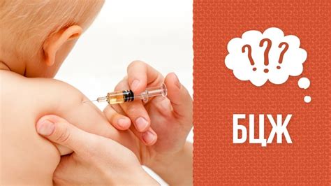 Вакцинация должна быть эффективной и безопасной. Что такое прививка БЦЖ: когда делать, противопоказания