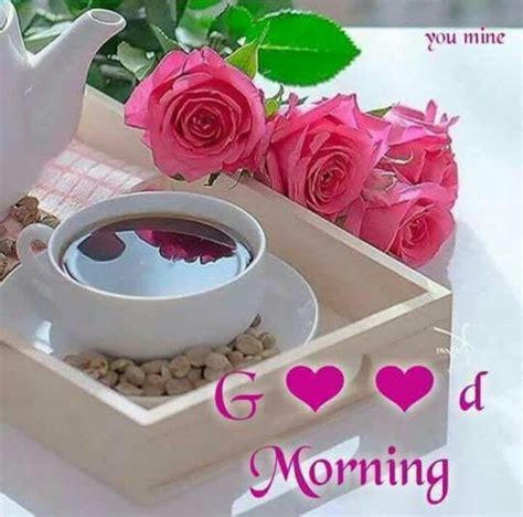 Pin By Arpita Jain On Good Morning Wishes Morning Images Good