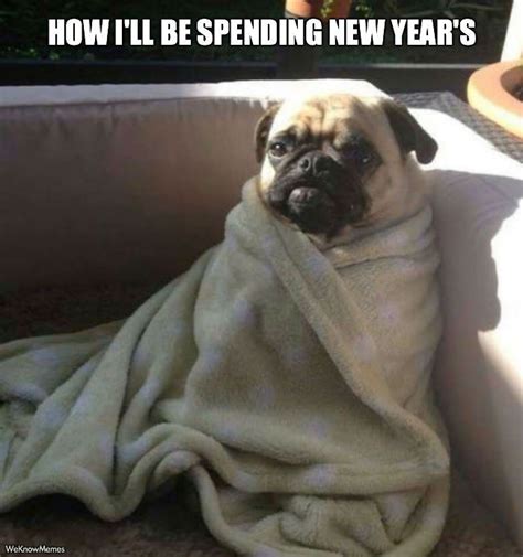 8 Funny New Years Eve Memes To Keep You Laughing Into 2016 Bustle