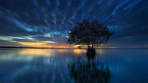 1366x768 Lake Tree 1366x768 Resolution Wallpaper Hd Nature 4k