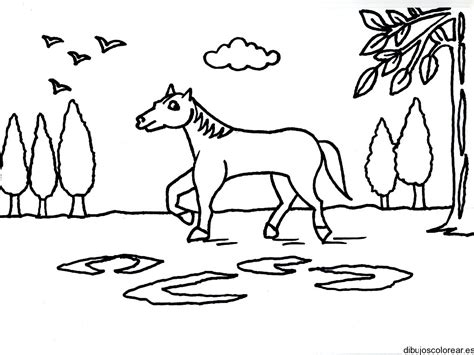 Dibujo de un caballo caminando
