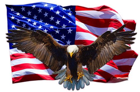 American Eagle American Flag Decal Ubicaciondepersonas Cdmx Gob Mx