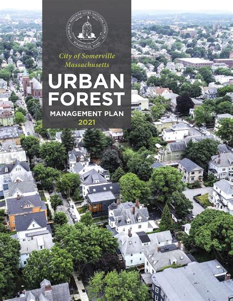 Somerville Releases Urban Forest Report Massachusetts Municipal