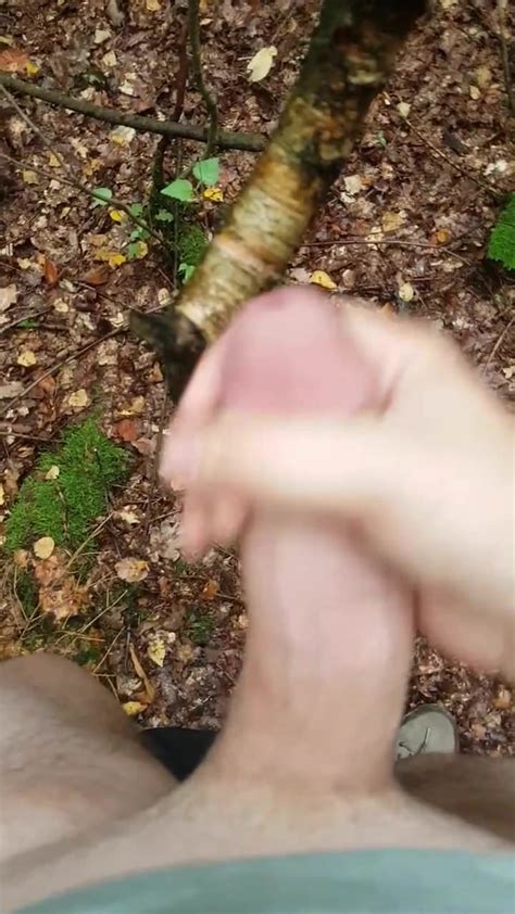 wank in the woods and cum on a tree gay porn c3 xhamster xhamster