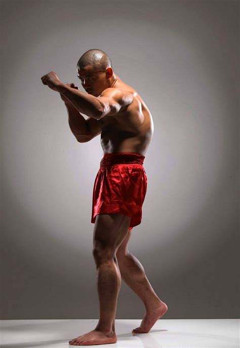 Chinese Boxer Drawing Poses Male Pose Reference Action Pose Reference