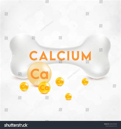 realistic 3d bone calcium fluorine particles stock vector royalty free 1885359586 shutterstock
