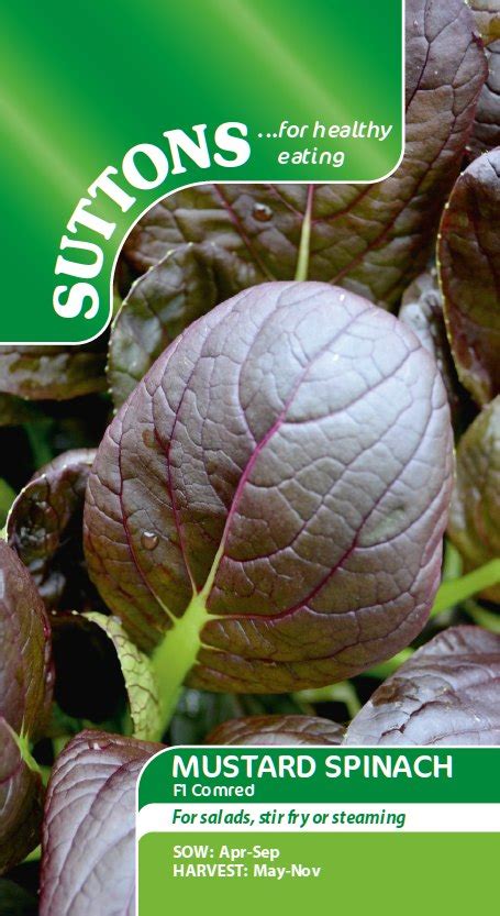 Suttons Mustard Spinach F1 Komatsuna Comred Seeds Salad Mole Avon