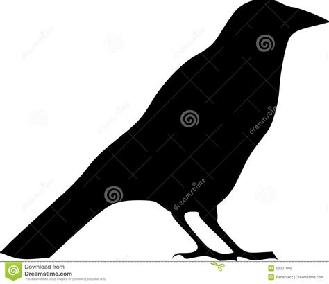 Raven Silhouette On White Background Stock Illustration Illustration