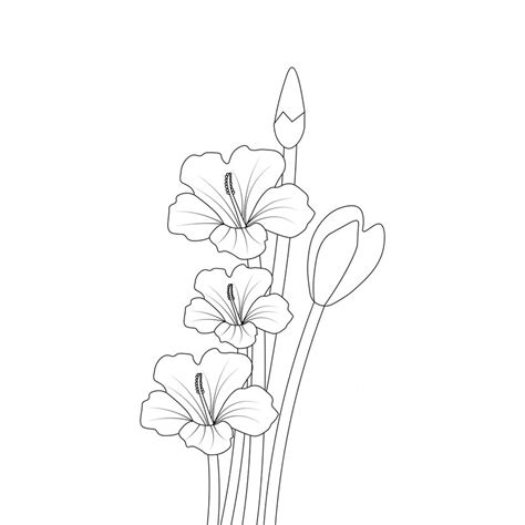 Premium Vector Rose Of Sharon Flower Sketch Of Pencil Line Drawing