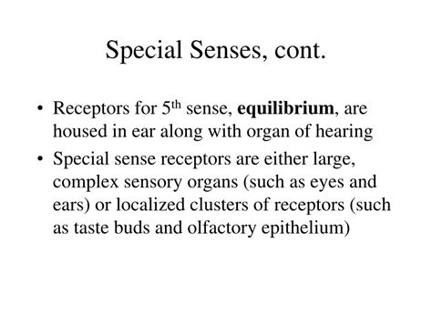 Ppt Chapter 8 The Special Senses Powerpoint Presentation Free