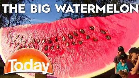 The Big Watermelon Unveiled Today Show Australia Youtube