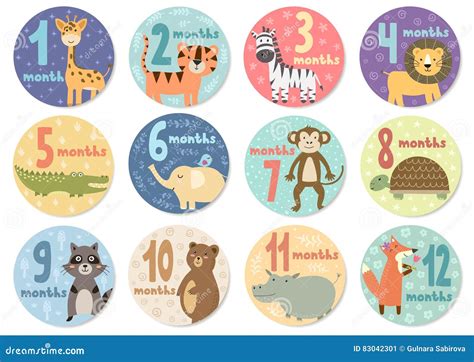 Cute Twelve Months Stickers With Animals For Babies Stock Vector