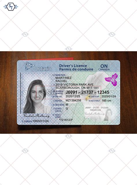 Ontario Driver License Psd Template Buy Psd Template