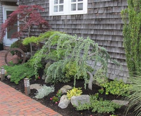 Best 8 Chic Front Yard Garden With Dwarf Pine Trees Decoredo