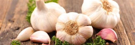 Garlic Allergy And Intolerance Guide Lifelab Testing