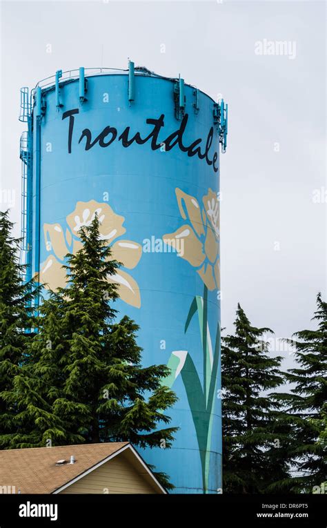 Water Storage Tank Also Called A Water Tower Painted With Flowers