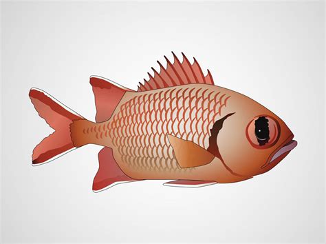 Best Download Design Fishing SVG Cut Files Project