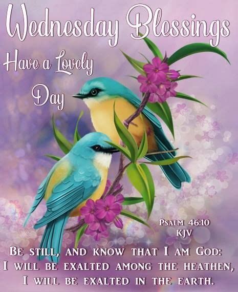 Blue Bird Wednesday Blessing Image Pictures Photos And Images For