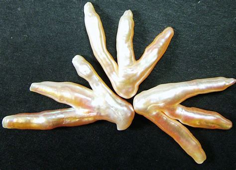Chicken Feet Keshi Pearls High Luster 32cts Pf418