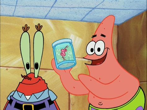 Spongebob And Patrick In A Box Stelliana Nistor